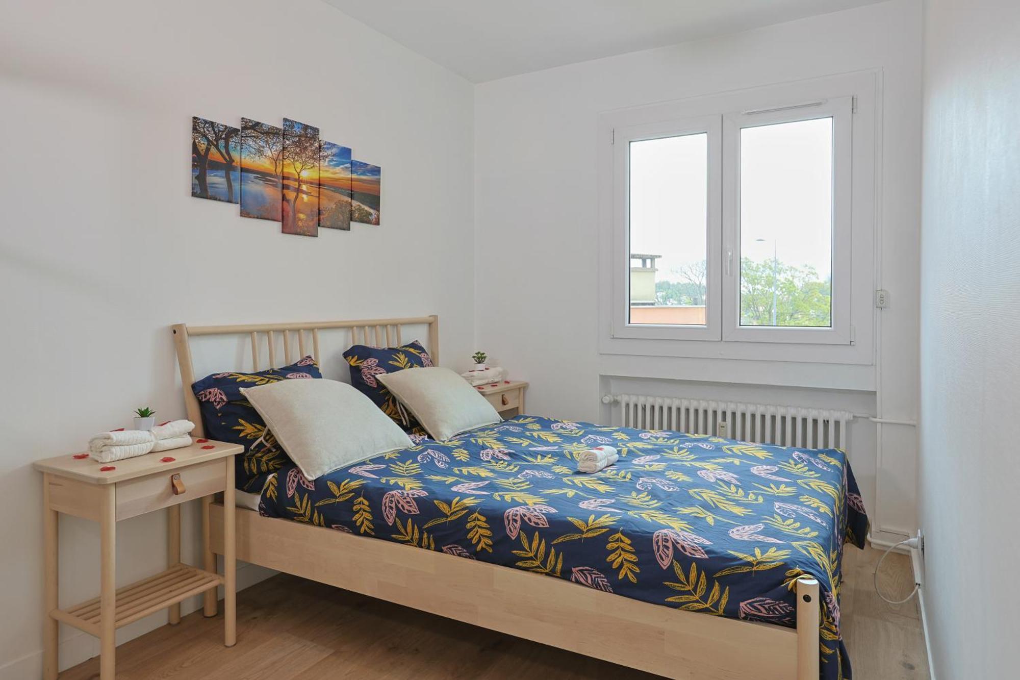 Evasion Pro & Fun A Saint-Etienne - Proche Hpl Apartment ภายนอก รูปภาพ